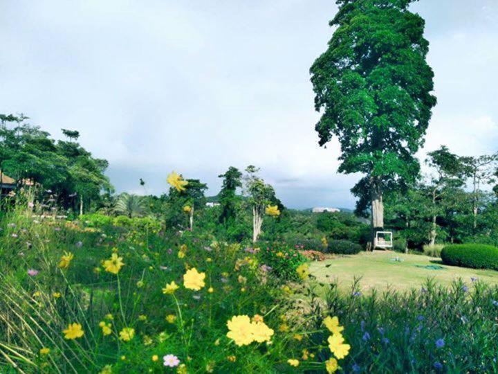 Arayana Phupimarn Resort & Spa Pak Chong 외부 사진
