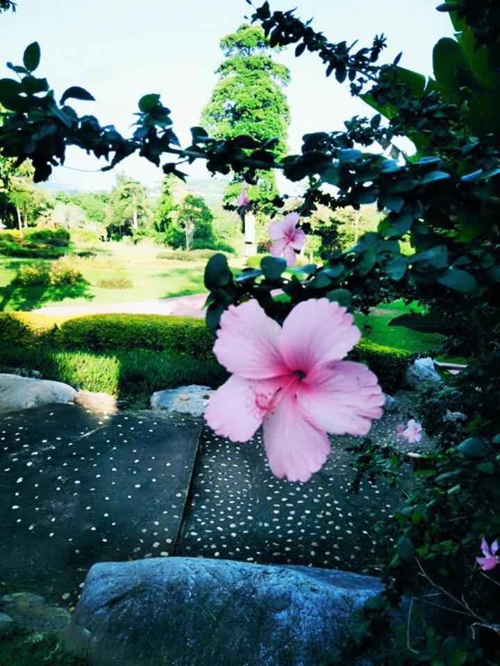 Arayana Phupimarn Resort & Spa Pak Chong 외부 사진